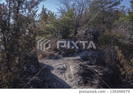 高見倉山：這座海拔304公尺的山峰橫跨兵庫縣加古川市和高砂市，從山上健行可欣賞的景色。 136846679