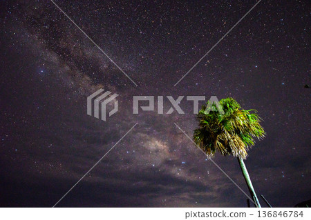 Palm trees and the Milky Way 136846784