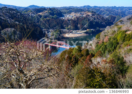 Early Spring 2026: The Plum Festival begins in Tsukigase Baikei. The streets of Tsukigase and white plum blossoms blooming on the hills Early Spring 2026: The Plum Festival begins in Tsukigase Baikei. The streets of Tsukigase and white plum blossoms blooming on the hills 136846993