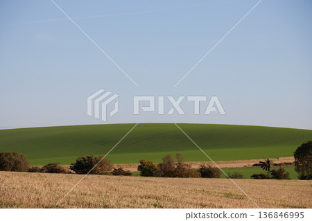 Green hill, fields and trees in autumn Scottish countryside Green hill, fields and trees in autumn Scottish countryside 136846995