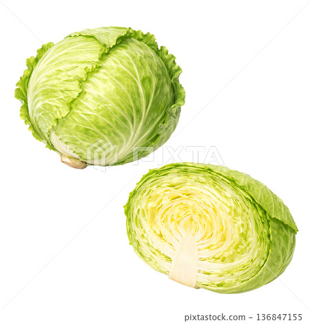 高麗菜水彩插圖 | 整體及橫切面圖 136847155