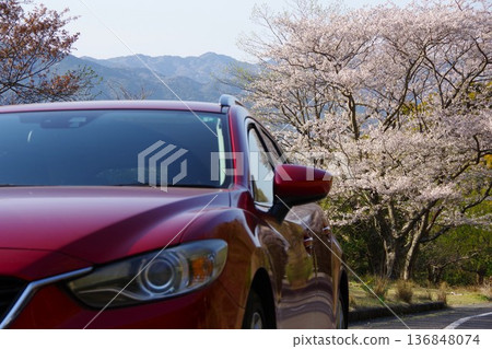 Driving image: Cherry blossoms in full bloom Driving image: Cherry blossoms in full bloom 136848074