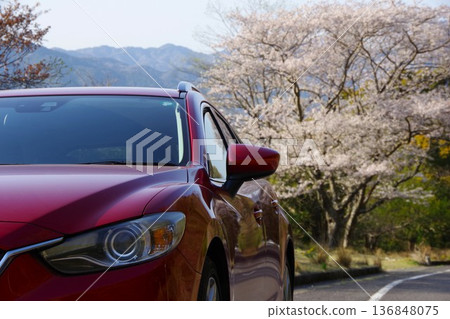 Driving image: Cherry blossoms in full bloom Driving image: Cherry blossoms in full bloom 136848075