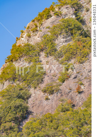 Rock climbers attacking the cliffs of Shiroyama in Izunokuni City, Shizuoka Prefecture Rock climbers attacking the cliffs of Shiroyama in Izunokuni City, Shizuoka Prefecture 136848331