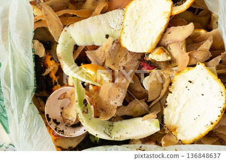 Organic Bio Waste in Garbage Bag for Compost and Recycling Organic Bio Waste in Garbage Bag for Compost and Recycling 136848637