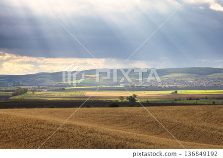 The country of South Moravia in the Czech Republic, Europe. Sun rays breaking through clouds illuminating golden fields in a tranquil rural landscape, with distant hills and trees in the background. The country of South Moravia in the Czech Republic, Europe. Sun rays breaking through clouds illuminating golden fields in a tranquil rural landscape, with distant hills and trees in the background. 136849192