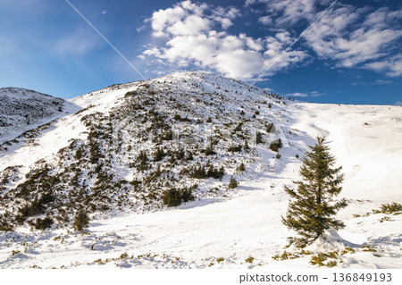 Snowy mountain peak under a bright blue sky. The Velky Krivan peak in The Mala Fatra national park, Slovakia, Europe. 136849193