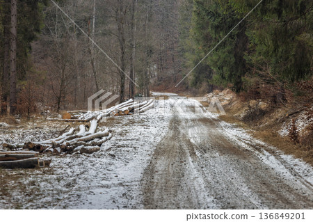 A path winds through the winter forest, marked by tire tracks, with logs covered in snow stacked to the side, hinting at nature's cycle of renewal in the chilly air. A path winds through the winter forest, marked by tire tracks, with logs covered in snow stacked to the side, hinting at nature's cycle of renewal in the chilly air. 136849201