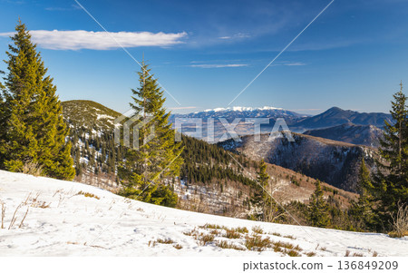Majestic mountain range, snow-capped peaks, winter wonderland. View from The Mala Fatra national park in Slovakia, Europe. 136849209