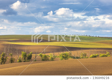 The country of South Moravia in the Czech Republic, Europe. Rolling hills of agricultural land under a bright sky. A tranquil scene of nature's beauty, showcasing the harmony of land and sky. The country of South Moravia in the Czech Republic, Europe. Rolling hills of agricultural land under a bright sky. A tranquil scene of nature's beauty, showcasing the harmony of land and sky. 136849216
