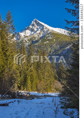 Krivan mountain in High Tatras National Park, Slovakia, Europe. Wintery landscape of snow-covered mountain peak rising majestically above tall trees against a clear blue sky on a sunny day. Krivan mountain in High Tatras National Park, Slovakia, Europe. Wintery landscape of snow-covered mountain peak rising majestically above tall trees against a clear blue sky on a sunny day. 136849227