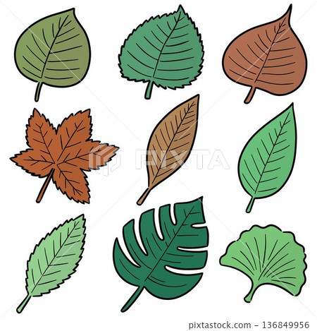 vector set of leaf vector set of leaf 136849956