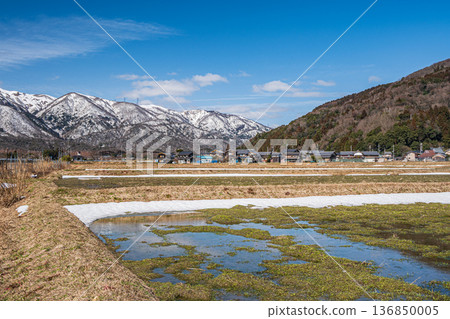 Rural scenery of Makino Town in early spring, Takashima City, Shiga Prefecture 136850005
