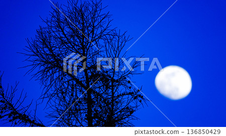 Moonscape floating in the night sky 136850429