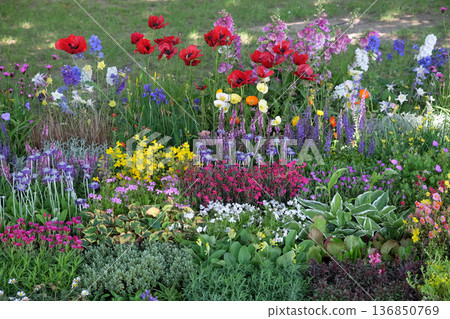 Flowers exposed on Floraart, 51 international garden exhibition in Zagreb Flowers exposed on Floraart, 51 international garden exhibition in Zagreb 136850769