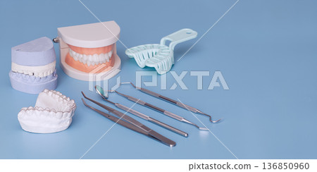 Dental impression tray, plaster casts and dental instruments on blue background with copy space 136850960