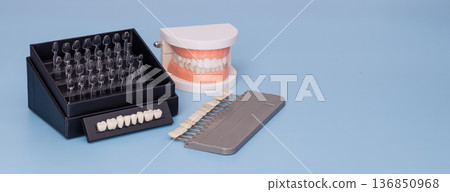 Dental veneer shade guide and prosthetic tooth color samples with denture model on blue background copy space 136850968