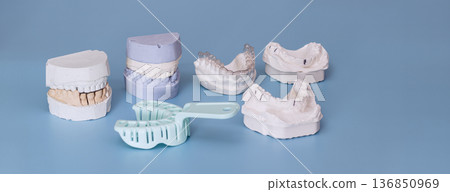 Dental plaster casts, jaw impression molds and tray set on blue background with copy space 136850969