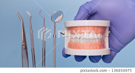 Dental Instruments and Denture Model in Blue Medical Glove on Light Blue Background Dental Instruments and Denture Model in Blue Medical Glove on Light Blue Background 136850975