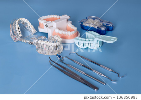 Dental Training Models, Impression Trays and Dentist Instruments on Blue Background Dental Training Models, Impression Trays and Dentist Instruments on Blue Background 136850985
