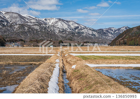 Rural scenery of Makino Town in early spring, Takashima City, Shiga Prefecture 136850993
