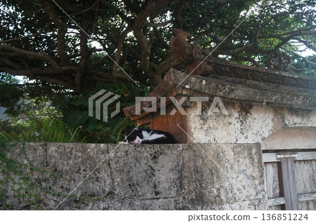 Shuri Castle reconstruction 2020 Shuri Castle reconstruction 2020 136851224