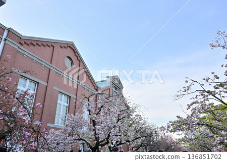 大阪造幣廠櫻花通行證場景 136851702