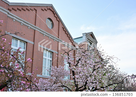 大阪造幣廠櫻花通行證場景 136851703