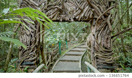 Mempening Trail, jungle hiking route located within Mt. Kinabalu Park in Sabah, Malaysia. Mempening Trail, jungle hiking route located within Mt. Kinabalu Park in Sabah, Malaysia. 136851764