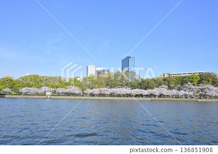 大川河畔和大阪商業園區的櫻花樹 大川河畔和大阪商業園區的櫻花樹 136851908