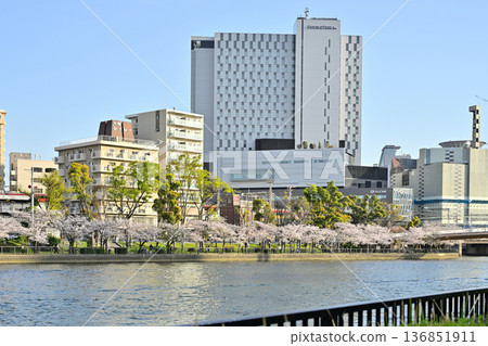 Cherry blossom trees along the Okawa River and DoubleTree by Hilton Osaka Castle 136851911