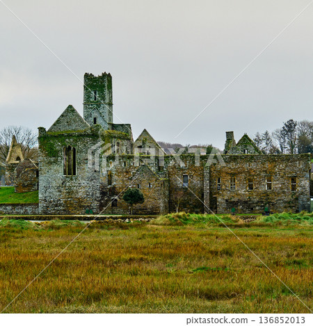 The old stone ruins of an abbey with a central tower rise from a grassy field in Ireland on a cloudy day. Moss covers the ancient monastery walls. 136852013