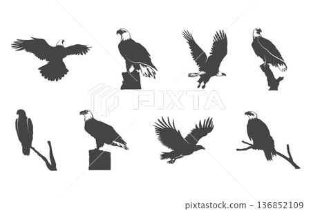 Set of bald eagle svg, American bald eagle silhouette, Bald eagle silhouette, Flying eagle svg, Eagle svg, Bald eagle vector set. Set of bald eagle svg, American bald eagle silhouette, Bald eagle silhouette, Flying eagle svg, Eagle svg, Bald eagle vector set. 136852109