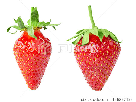 macro shot of two vibrant red strawberries with fresh green stems and leaves macro shot of two vibrant red strawberries with fresh green stems and leaves 136852152