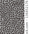 豹紋_03 136852176