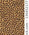 豹紋_02 136852177