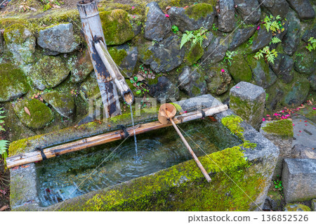 Moss-covered water basin in Kyoto City Moss-covered water basin in Kyoto City 136852526
