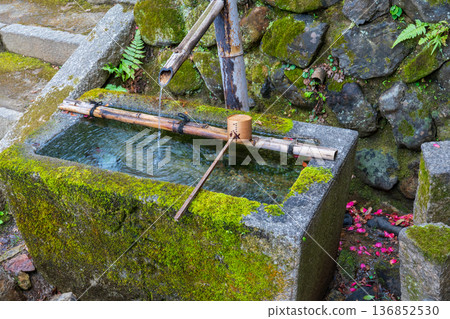 Moss-covered water basin in Kyoto City Moss-covered water basin in Kyoto City 136852530