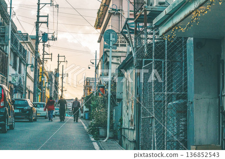 Back alley scenery in Kin Town, Okinawa Prefecture 136852543