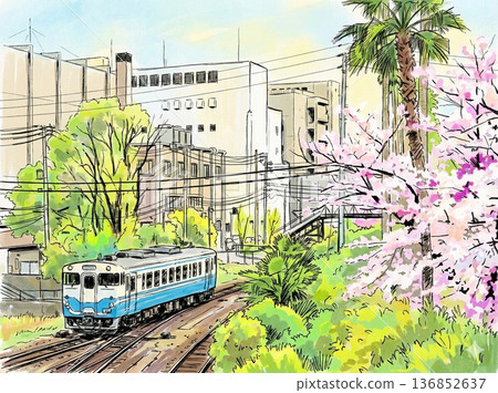 櫻花和復古的本地火車 136852637