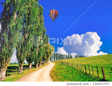 Poplar trees and cumulonimbus clouds 136852747