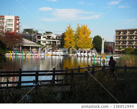 Shakujii公園 136852949