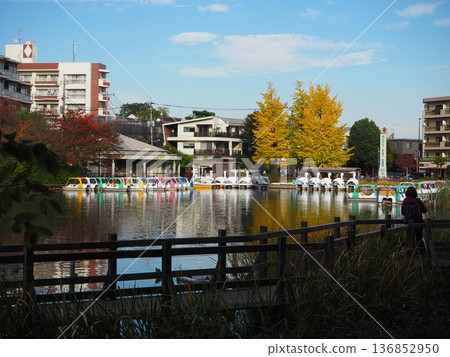 Shakujii公園 136852950