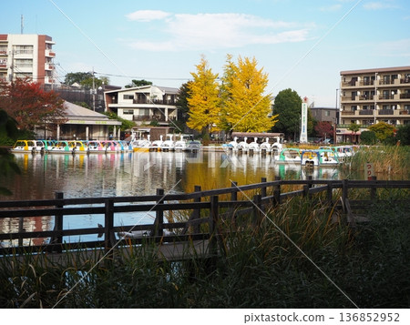 Shakujii公園 Shakujii公園 136852952