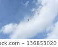 Birds flying through blue sky and clouds - A minimalist sky with space 136853020