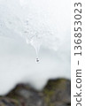 Droplets on an icicle - A minimalist close-up of winter as the snow melts 136853023