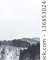 Snowy forest and white sky - A wide, open winter mountain landscape 136853024