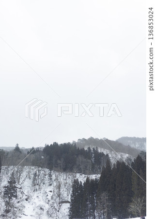 白雪皚皚的森林和潔白的天空-一片開闊的冬季山地景觀 白雪皚皚的森林和潔白的天空-一片開闊的冬季山地景觀 136853024
