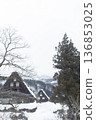 Snow-covered Shirakawa-go and Gassho-zukuri houses: A striking winter landscape of trees and empty spaces 136853025