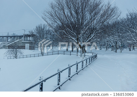 Beautiful snowscape of Kansui Park repainted by heavy snow Beautiful snowscape of Kansui Park repainted by heavy snow 136853060